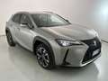 Lexus UX 250h 250 2.0 Hybrid Luxury - thumbnail 10