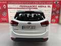 Kia Carens 1.6 GDi Concept 135 Weiß - thumbnail 5