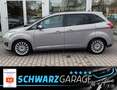 Ford Grand C-Max Grand C-MAX Titanium*KAMERA*NAVI*SHZ* Silber - thumbnail 4