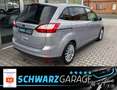 Ford Grand C-Max Grand C-MAX Titanium*KAMERA*NAVI*SHZ* Silber - thumbnail 20