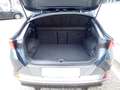 CUPRA Formentor 2,0 TDI 4Drive Cupra DSG Grau - thumbnail 11