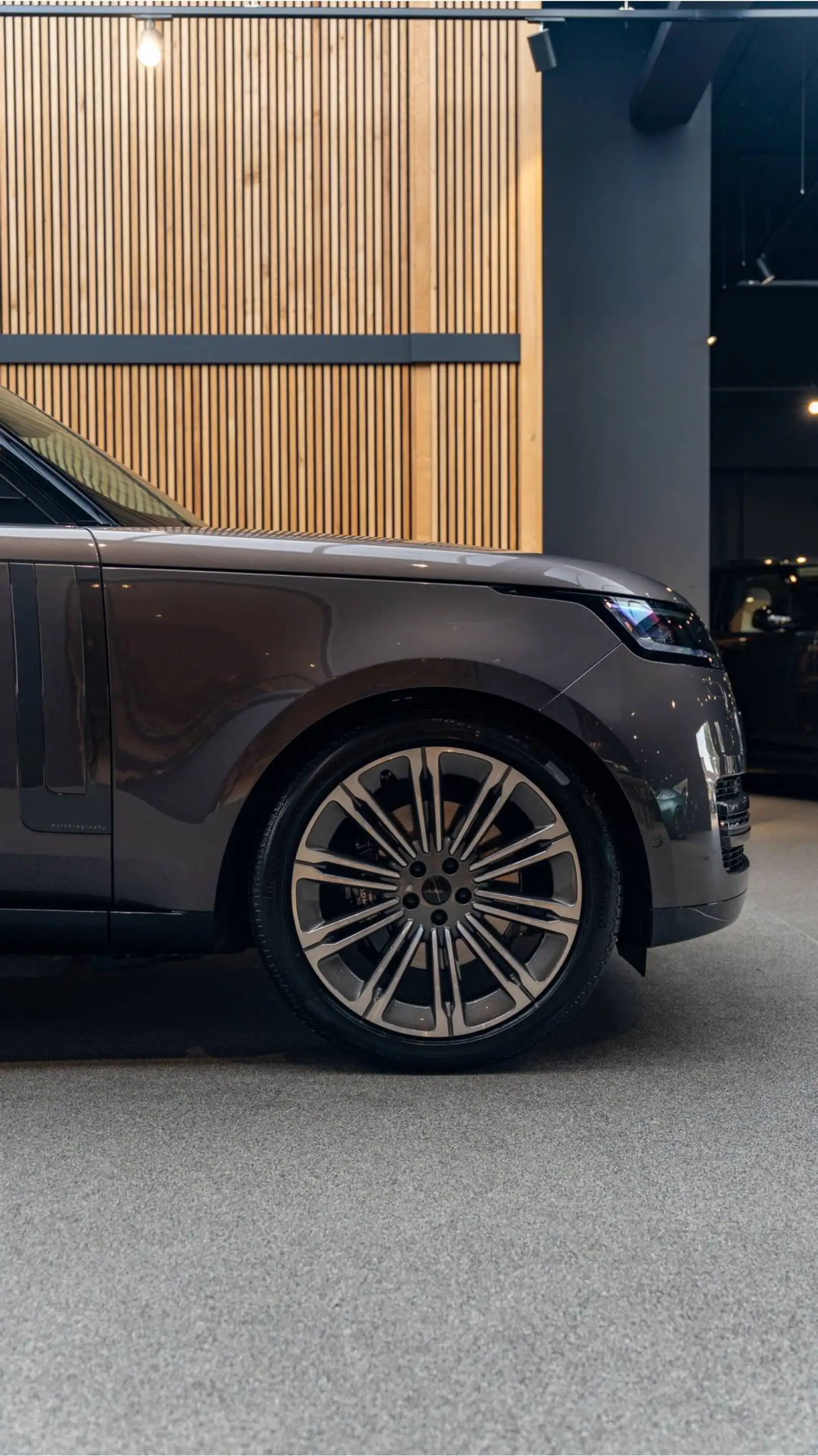Land Rover Range Rover P460e LWB Autobiography 3.0 P460e LWB Autobiograph — photo 22