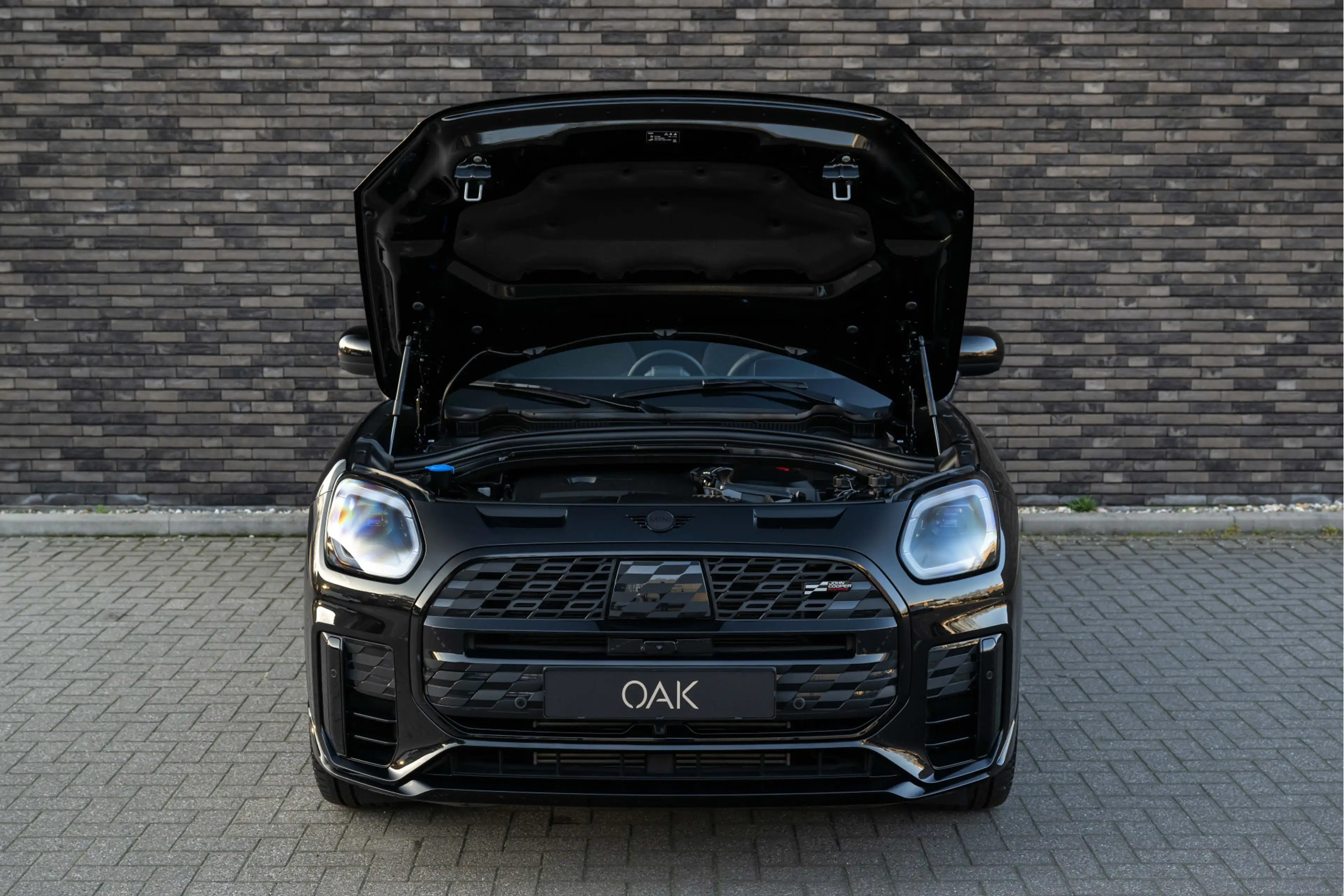 MINI Countryman S All4 2.0 S ALL4 John Cooper Works XL | Panorama | L... — photo 8