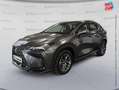 Lexus NX 350h 350h Pack Business 2WD MY24 Grau - thumbnail 1