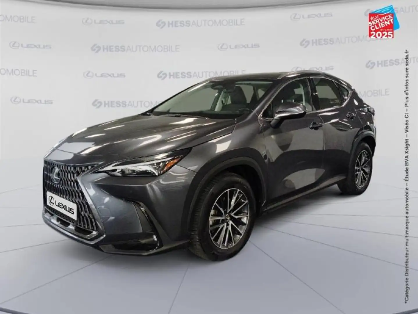 Lexus NX 350h 350h Pack Business 2WD MY24 Grijs - 1