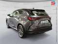 Lexus NX 350h 350h Pack Business 2WD MY24 Gris - thumbnail 8
