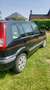 Ford Fusion Fusion 1.4 TDCi Ebony Noir - thumbnail 3