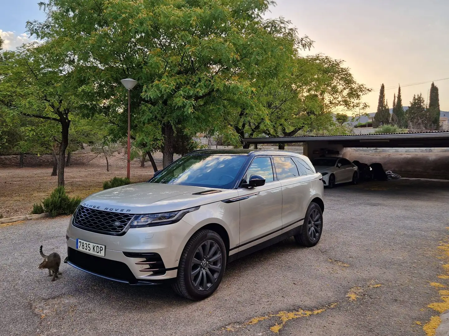 Land Rover Range Rover Velar Range Rover Velar 2.0D SE 4WD Aut. 240 SE Gris - 2