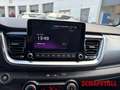 Kia Stonic 1.0 T-GDI DCT Platinum Edition wenig KM Navi Tempo Grey - thumbnail 12