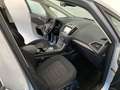 Ford Galaxy 2.0 EcoBlue S&S Aut/TREND/Navi/8-fach Argent - thumbnail 32