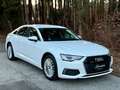 Audi A6 40TDI *MWST*HCAM*ACC*TOTWIN*TEILLE*MATRIX*KESSY* Weiß - thumbnail 4