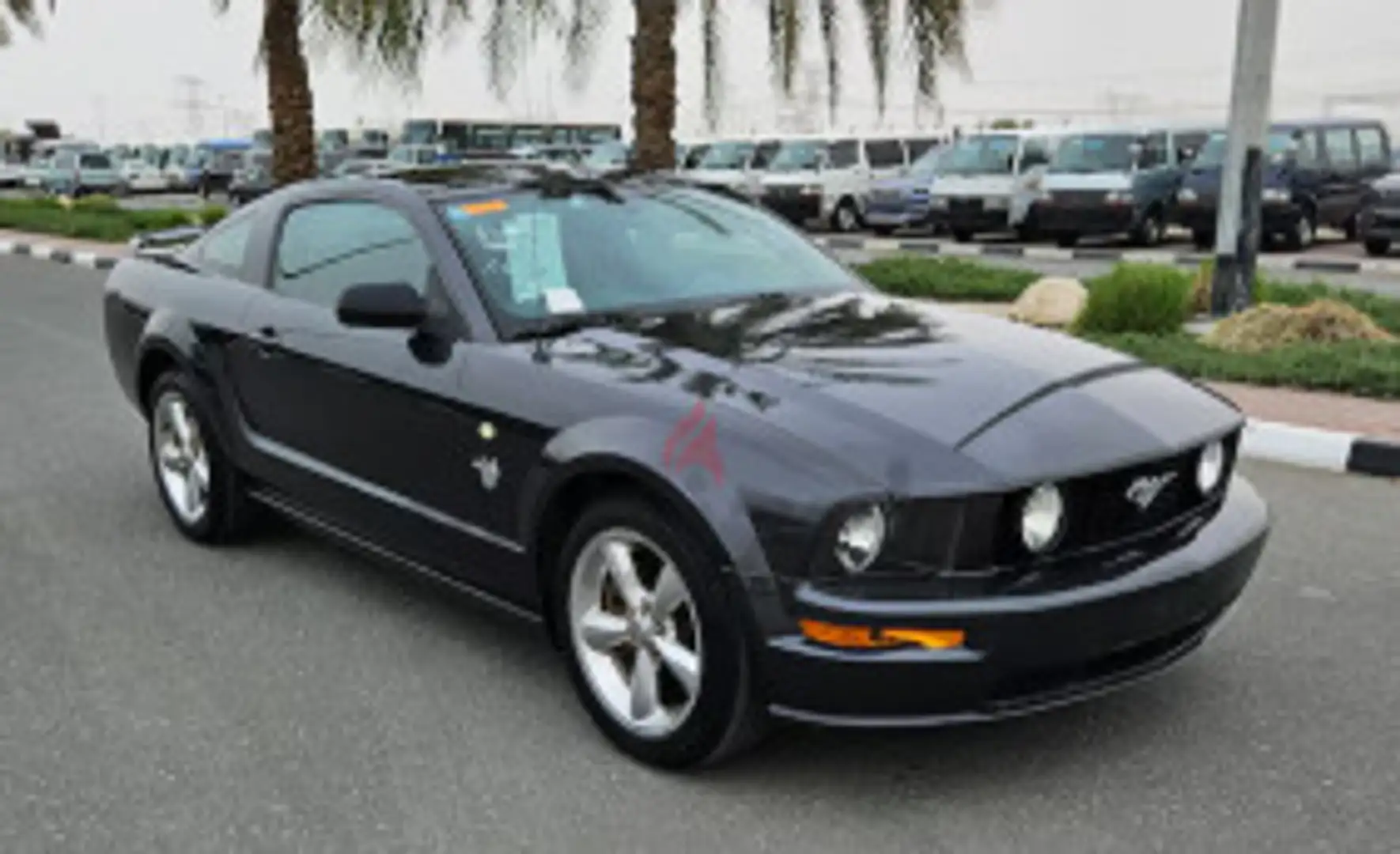 Ford Mustang V8 45TH ANNIVERSARY PANORAMIC - 1