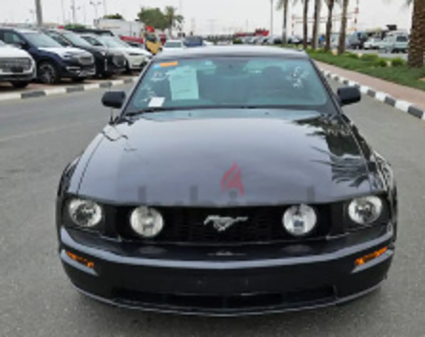 Ford Mustang V8 45TH ANNIVERSARY PANORAMIC - 2