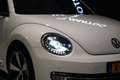 Volkswagen Beetle Cabriolet 1.2 TSI Club + CAMERA / XENON / APPLE CA Blanc - thumbnail 27