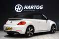 Volkswagen Beetle Cabriolet 1.2 TSI Club + CAMERA / XENON / APPLE CA Blanc - thumbnail 5