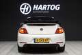 Volkswagen Beetle Cabriolet 1.2 TSI Club + CAMERA / XENON / APPLE CA Blanc - thumbnail 15