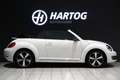 Volkswagen Beetle Cabriolet 1.2 TSI Club + CAMERA / XENON / APPLE CA Blanc - thumbnail 8