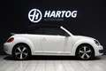 Volkswagen Beetle Cabriolet 1.2 TSI Club + CAMERA / XENON / APPLE CA Blanc - thumbnail 7
