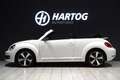 Volkswagen Beetle Cabriolet 1.2 TSI Club + CAMERA / XENON / APPLE CA Blanc - thumbnail 6