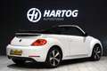 Volkswagen Beetle Cabriolet 1.2 TSI Club + CAMERA / XENON / APPLE CA Blanc - thumbnail 2