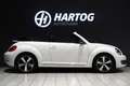 Volkswagen Beetle Cabriolet 1.2 TSI Club + CAMERA / XENON / APPLE CA Blanc - thumbnail 9