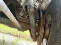 Land Rover Defender Defender 90" Td SW E SUV Grün - thumbnail 7