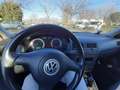 Volkswagen Bora Bora Variant Variant 1.9 tdi Trendline 100cv Argento - thumbnail 4