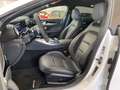Mercedes-Benz AMG GT 53 4M+ Dynamik-Plus-P./V8-Styling/Performance AGA Blanco - thumbnail 11