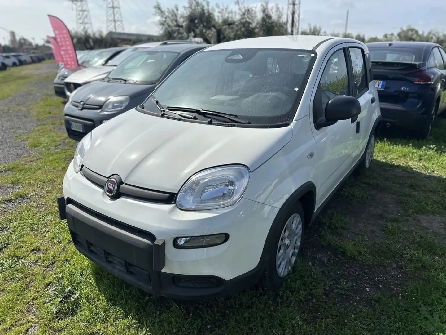 Fiat Panda 1.0 FireFly Hybrid Pop Weiß - 1