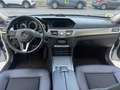 Mercedes-Benz E 220 Estate 220CDI BE Avantgarde 7G Plus Gris - thumbnail 9
