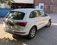 Audi Q5 2.0 TDI (125 kW) quattro Neuwertig Automatik Blanc - thumbnail 4
