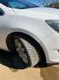 Opel Astra Astra Sports Tourer 1.7 cdti ecoflex Cosmo s Bianco - thumbnail 14