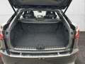 Lexus RX 450h E-Four F-Sport 5t. Schwarz - thumbnail 9