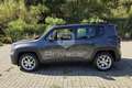 Jeep Renegade Renegade 1.6 Mjt 130 CV Limited Plateado - thumbnail 8