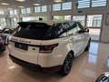Land Rover Range Rover Sport Range Rover Sport 3.0 tdV6 HSE - IVA ESPOSTA TOT Wit - thumbnail 14