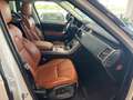 Land Rover Range Rover Sport Range Rover Sport 3.0 tdV6 HSE - IVA ESPOSTA TOT Wit - thumbnail 9