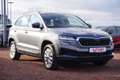 Skoda Karoq 1.5 TSI DSG LED Lenkradheizung Sitzheizung Gris - thumbnail 7