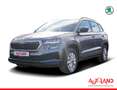 Skoda Karoq 1.5 TSI DSG LED Lenkradheizung Sitzheizung Gris - thumbnail 1