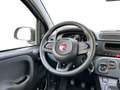 Fiat Panda 1.0 70cv Hybrid Pop Blu/Azzurro - thumbnail 11
