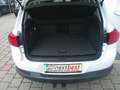 Volkswagen Tiguan 2,0 TDI SCR Austria Weiß - thumbnail 4