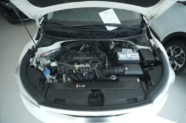 Kia Stonic view 18