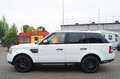 Land Rover Range Rover Sport V6 TD HSE *AHK* EXPORT * Weiß - thumbnail 5