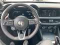 Alfa Romeo Stelvio Competizione Q4 Rouge - thumbnail 11