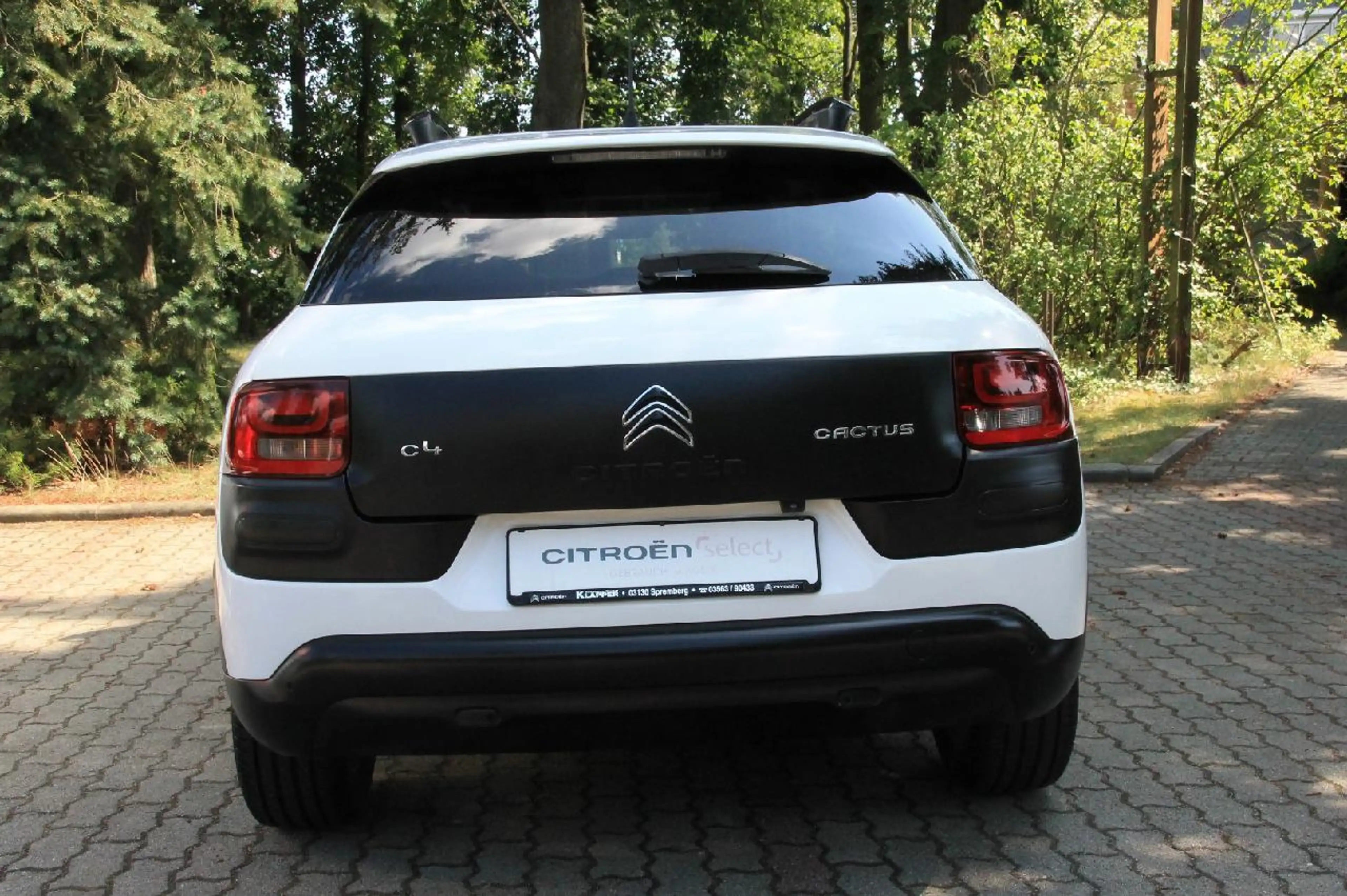 Citroen C4 Cactus Shine Automatik — photo 4
