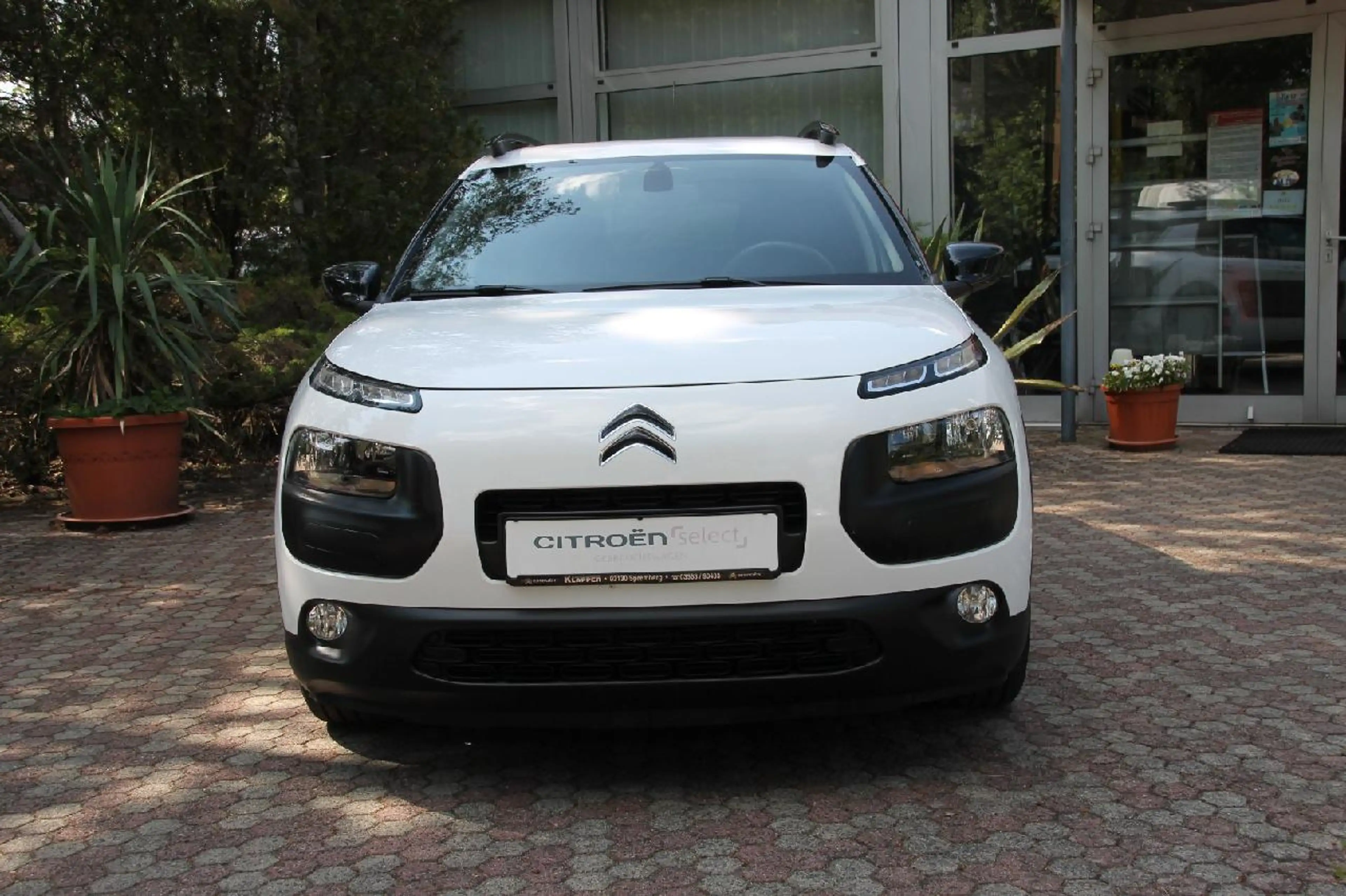 Citroen C4 Cactus Shine Automatik — photo 7
