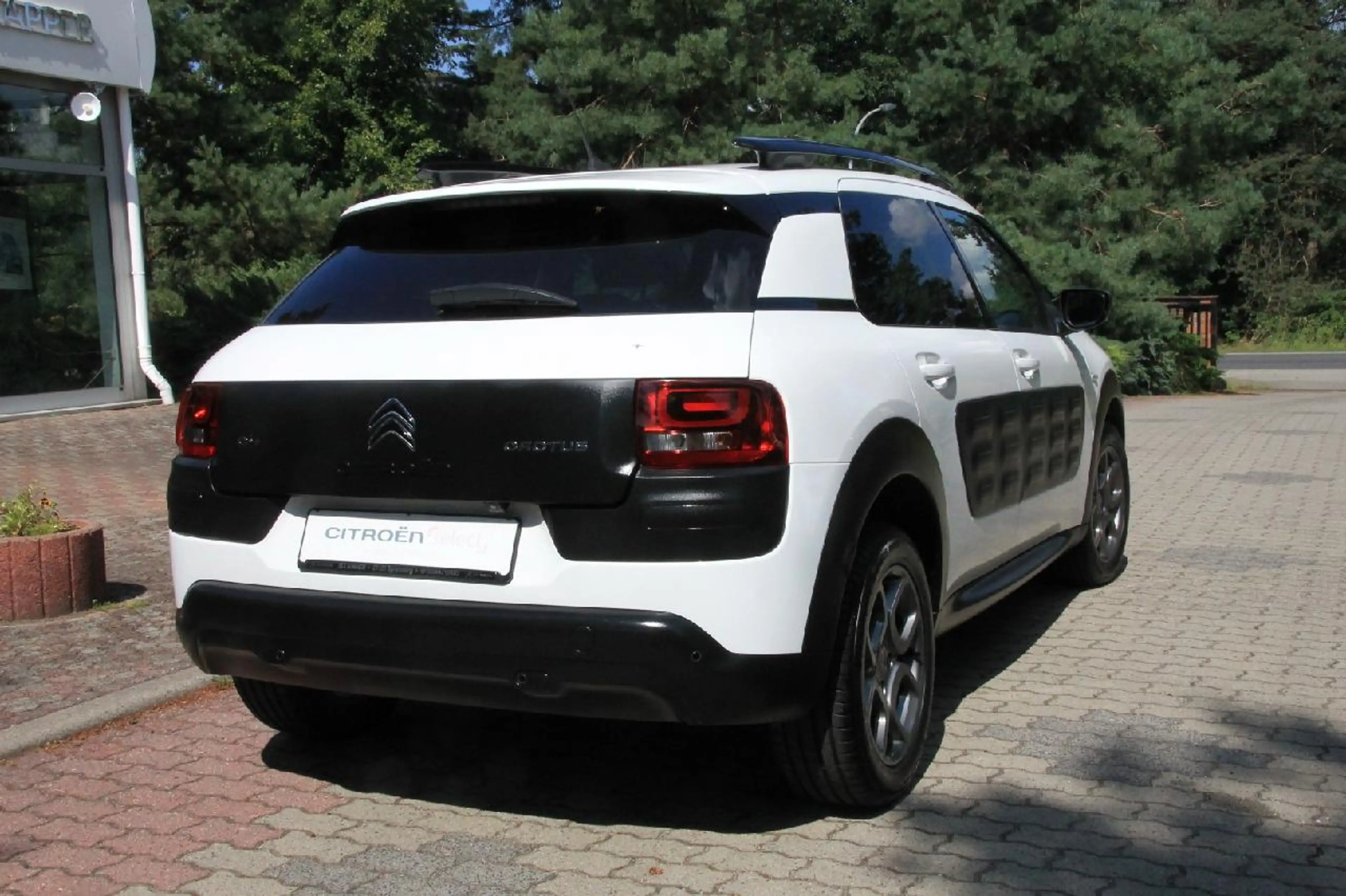 Citroen C4 Cactus Shine Automatik — photo 5