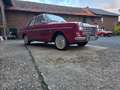 Ford Taunus 12 M TS Coupé P4 Top Zustand Rot - thumbnail 20
