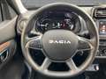 Dacia Spring ELECTRIC EXTREME 65 CCS INKL.BATTERIE Grau - thumbnail 11