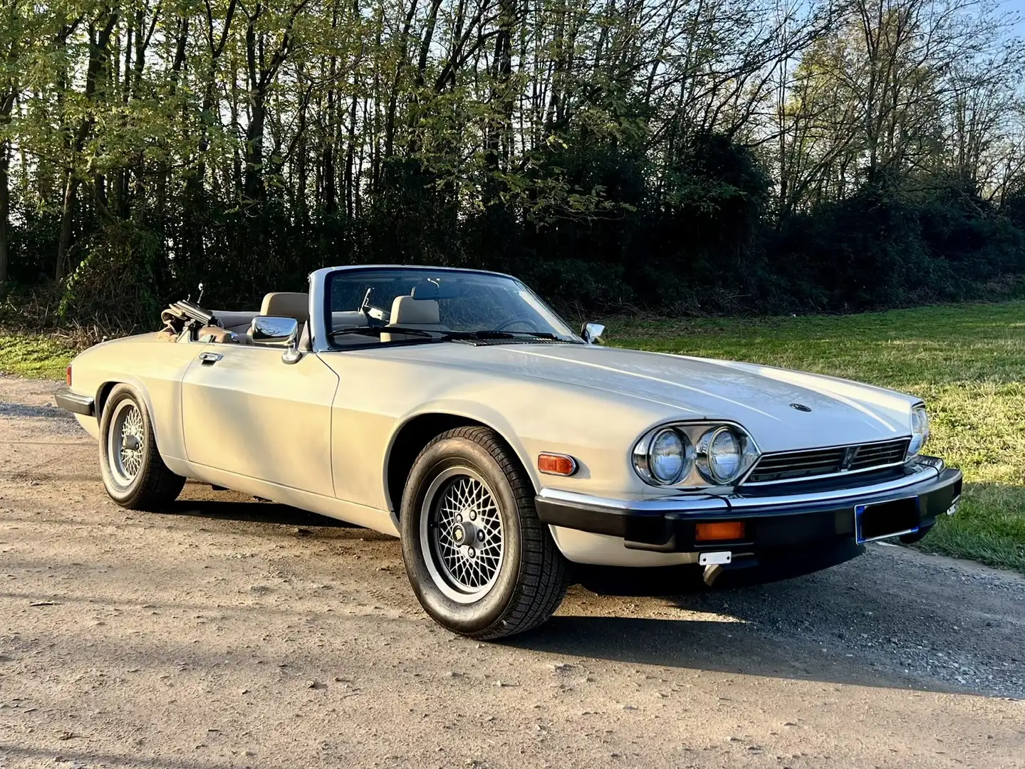Jaguar XJS XJSC V12 Automatik Convertible - 1