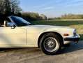 Jaguar XJS XJSC V12 Automatik Convertible - thumbnail 7